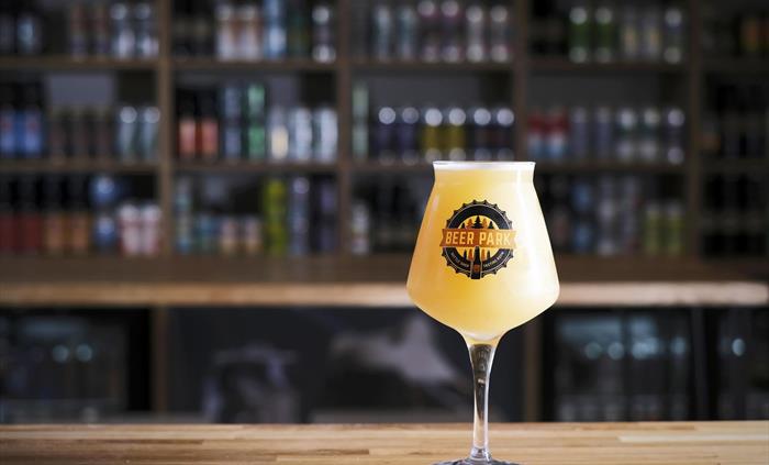 Beer Glass